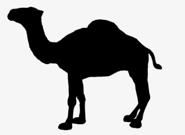 Camel Logo Clipart , Png Download - Camel Silhouette Vector, Transparent Png, Free Download