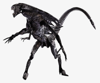 Transparent Alien Xenomorph Png - Alien Vs Predator Png, Png Download, Free Download