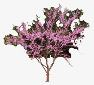 Redbud-cutout - Artificial Flower, HD Png Download, Free Download