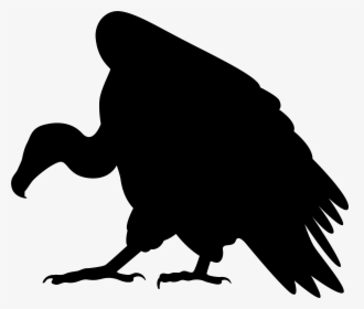 Turkey Vulture Clip Art, HD Png Download, Free Download