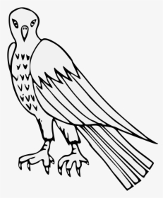 Vulture , Png Download - Osprey Clipart, Transparent Png, Free Download