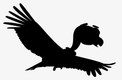 Disney Vulture Png Cartoon - Serrania Esteparia Condor Andino, Transparent Png, Free Download