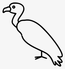 Vulture - Seabird, HD Png Download, Free Download