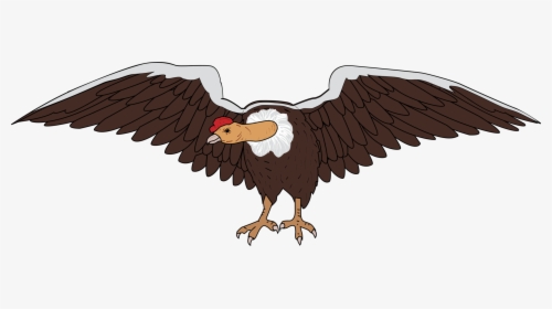 Eagle,bald Eagle,vulture - Condor Png, Transparent Png, Free Download