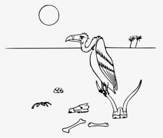 Vulture In The Desert Clip Arts - Desert Animals Line Drawing, HD Png Download, Free Download