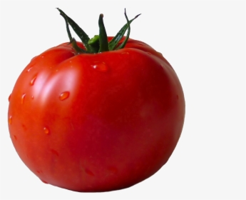 Tomato Png - Transparent Tomato, Png Download, Free Download