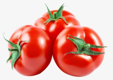 Fresh Tomato Download Transparent Png Image - Fresh Tomatoes Tomatoes Png, Png Download, Free Download
