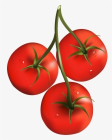 Tomatoes Png - Grape Tomato Clip Art, Transparent Png, Free Download