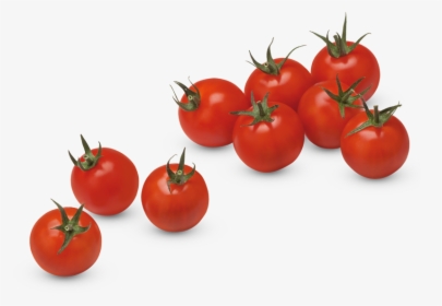 Fresh Tomato Png Download Image - Cherry Tomatoes Clip Art, Transparent Png, Free Download