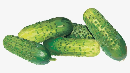 Cucumber Free Download Png - Cucumber Png, Transparent Png, Free Download