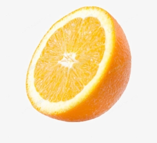 Transparent Orange Slices Clipart - Half Orange Png, Png Download, Free Download
