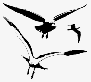 Seagull Birds Vector Silhouette - Seagull Png Vector, Transparent Png, Free Download