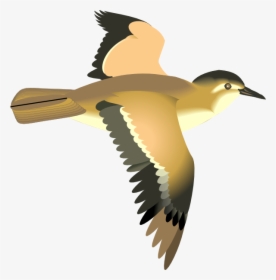 Bird Fly Animation Png, Transparent Png, Free Download