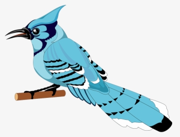 Bird 21 Free Vector - Bluejay Clipart Png, Transparent Png, Free Download