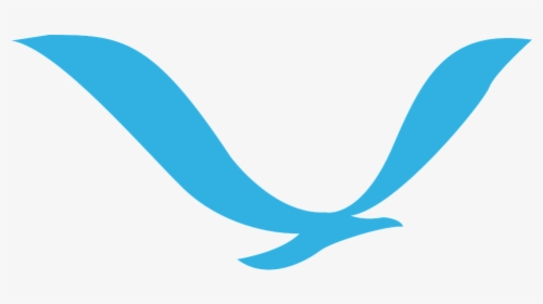 Download Gull Bird Png Transparent Images Transparent - Flying Bird Logo Png, Png Download, Free Download