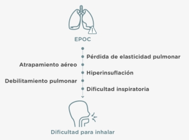 Diagram, HD Png Download, Free Download