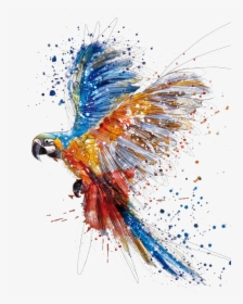 Tattoo Arara Aquarela , Png Download - Watercolor Parrot, Transparent Png, Free Download