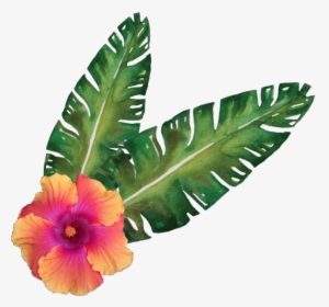Transparent Hibiscus Flower Png - Tropical Flowers Corner Free, Png Download, Free Download