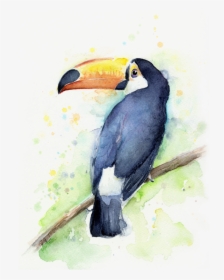 Watercolor Toucan, HD Png Download, Free Download