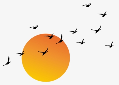 #ftestickers #clipart #sun #sunlight #birds #flock - Transparent Good Morning Png, Png Download, Free Download