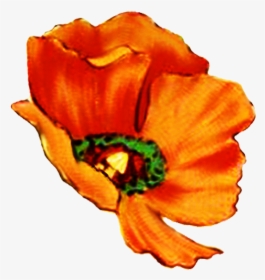 Digital Scrapbooking Flowers Poppy Head - Transparent Background Vintage Flower Png Pack, Png Download, Free Download