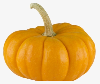 Transparent Background Pumpkin Transparent, HD Png Download, Free Download