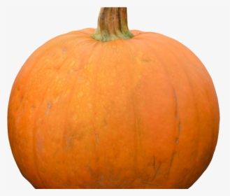 Pumpkin Png Image1 - Pumpkin, Transparent Png, Free Download