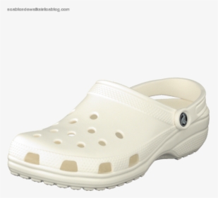 Men"s Crocs Classic White - White Crocs Png, Transparent Png, Free Download