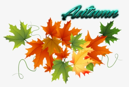 Transparent Fall Leaves Background Png - Fall Leaves Transparent Background, Png Download, Free Download