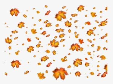 Autumn Leaves Png Photos - Autumn Leaves Falling Png, Transparent Png, Free Download