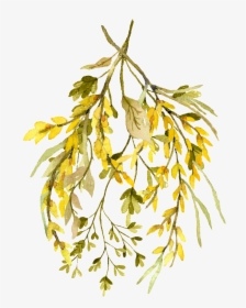 Handmade Watercolor Autumn Fall Yellow Ginkgo Leaves - Transparent ...