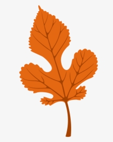 Autumn Leaves Free Use, HD Png Download, Free Download