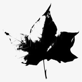 Transparent Black Pot Leaf Png - Autumn, Png Download, Free Download