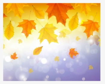 #atumn #fall #leaves #fallingleaves #background - Maple Leaf, HD Png Download, Free Download