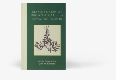Marine Green And Brown Algae Of The Hawaiian Islands - Christmas Tree, HD Png Download, Free Download