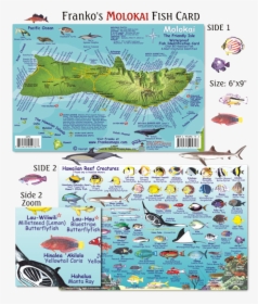 Molokai Fish, HD Png Download, Free Download