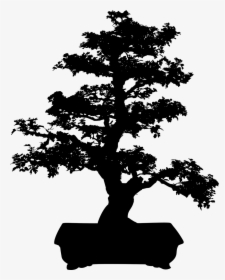 Bonsai Tree Silhouette Clip Art - Bonsai Tree Clip Art, HD Png Download, Free Download