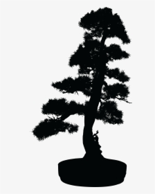 Bonsai Tree Silhouette Clip Art - Free Bonsai Silhouette Png, Transparent Png, Free Download