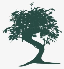 Bonsai, Tree, Nature, Oriental, Gardening, Green, Small - Bonsai Tree, HD Png Download, Free Download