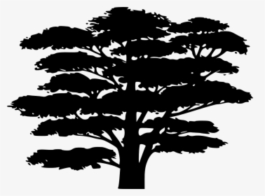 African Silhouette Images Of Trees, HD Png Download, Free Download