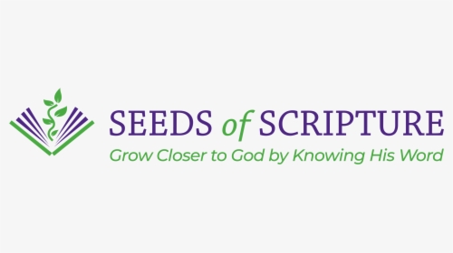 Seeds Of Scripture - Graphics, HD Png Download, Free Download
