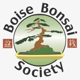Transparent Bonsai Tree Clipart - Ancient Asian Culture Bonsai, HD Png Download, Free Download