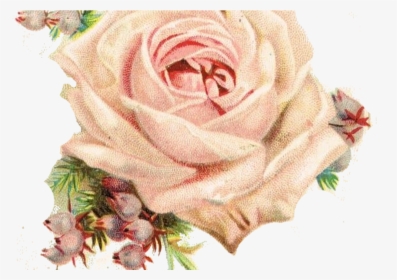 Transparent Vintage Seed Packets Clipart - Pink Vintage Flowers Png, Png Download, Free Download