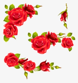 Vintage Floral Wallpapers, Background Vintage, Red - Red Rose Frame Png, Transparent Png, Free Download