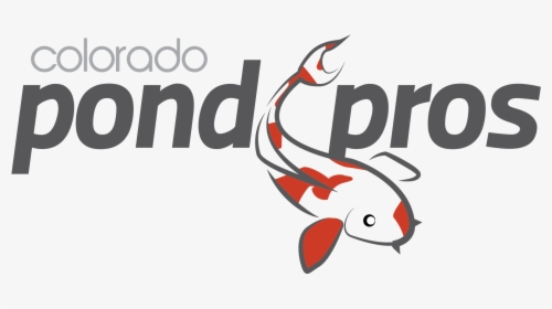 Colorado Pros Building Servicing - Coral Reef Fish, HD Png Download, Free Download