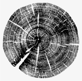 Woodgrain - Old Growth Tree Ring, HD Png Download, Free Download