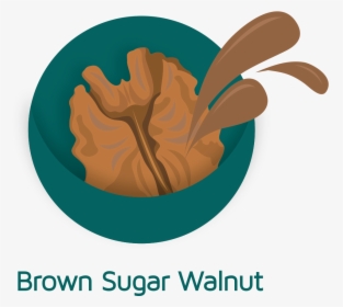 Bsw Icon - Illustration, HD Png Download, Free Download