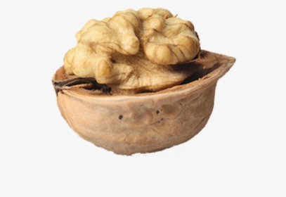 Walnut, HD Png Download, Free Download