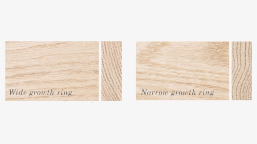 Growth Ring - Plywood, HD Png Download, Free Download