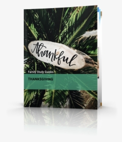 Thanksgiving - Fondo De Pantalla Originales, HD Png Download, Free Download